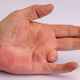 Image for article titled Biggest Lies Americans Are Taught About The 4th Of July